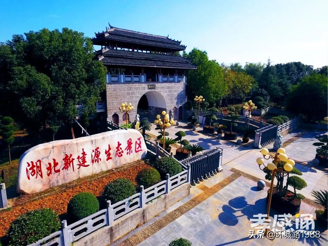 未来可期！向你展现不一样的毛陈