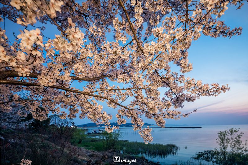 在苏州清洗家电,在苏州清宫住院的费用怎么报销