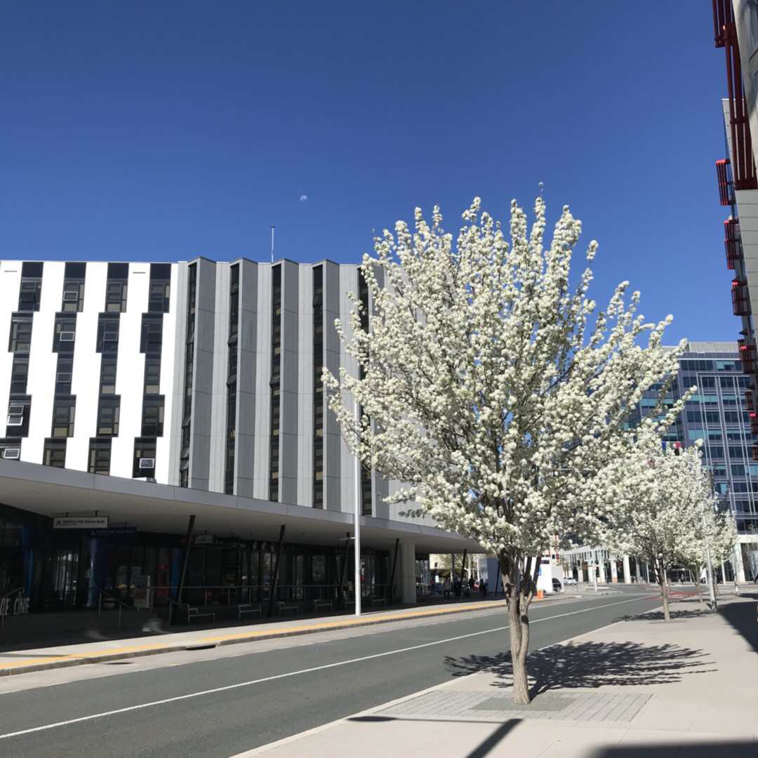 澳国立世界各类排名2024,澳国立大学专业排名