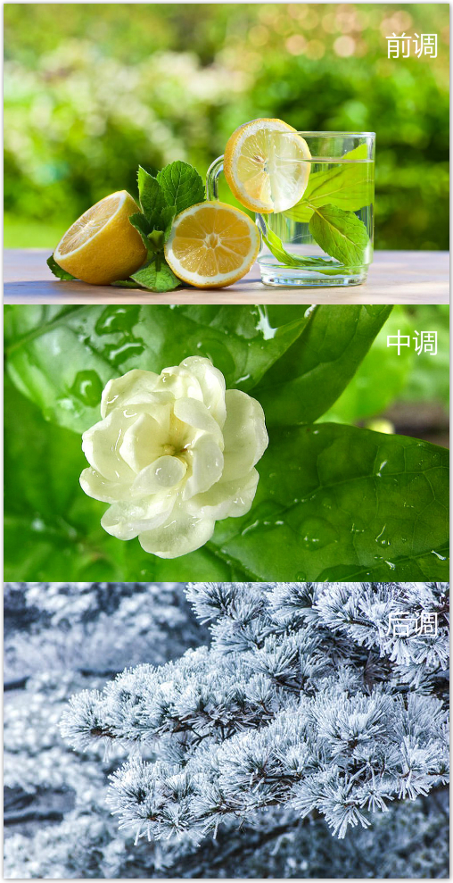 男士不腻好闻的香水大牌,公认最好闻的十大男士香水荷尔蒙