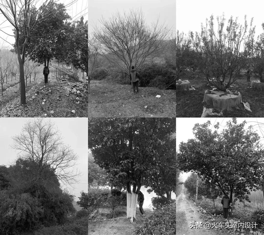 行山栖水，萧然山居|奥克斯·金宸玖和府示范区