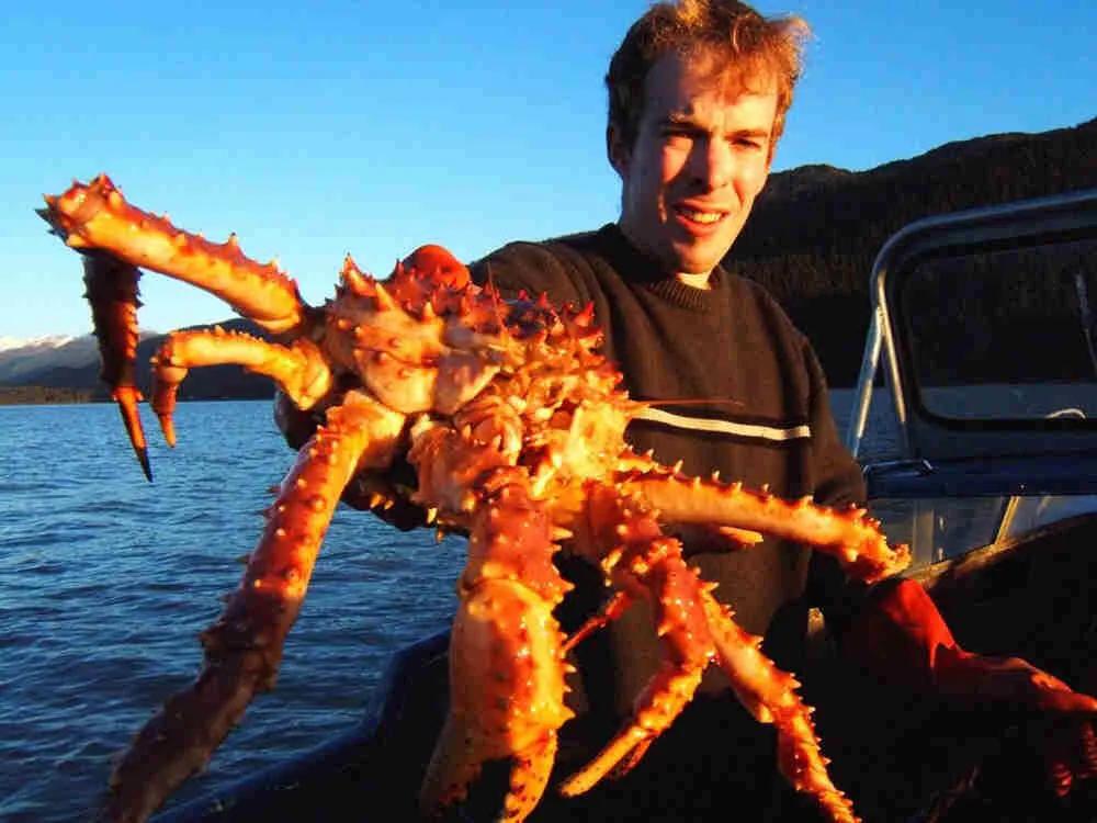 你没听说过的职业,那些你没有听说过的职业