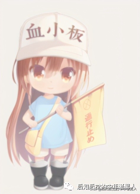 永久免费搭建个人网站,个人网站搭建软件