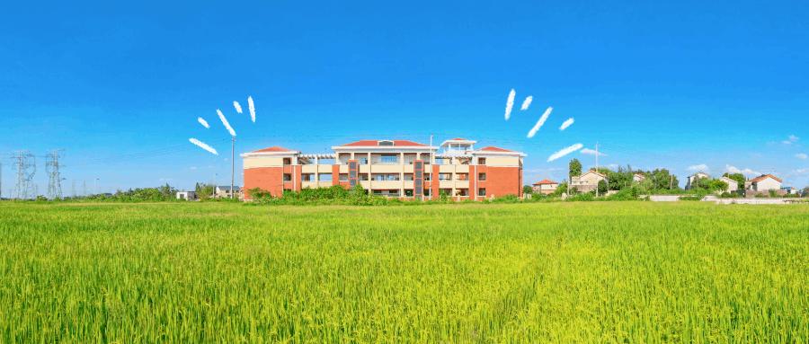 妙！望城这所幼儿园，“生长”在绿色田野里……