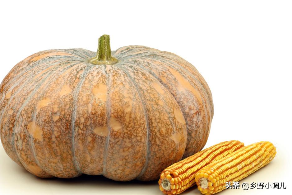 玉米喂鸡的窍门,玉米喂鸡绝招视频