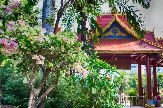 旅行社内部人员揭秘,旅行社吃住行全包陷阱