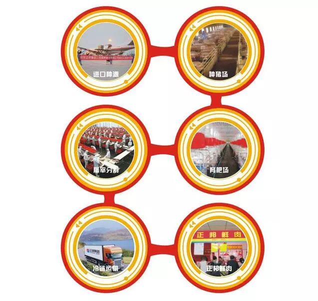 关于正邦集团的案例分析,正邦集团养猪知识