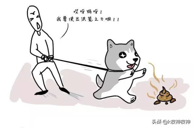 狗为什么不吃掉自己的便便,为什么狗吃屎