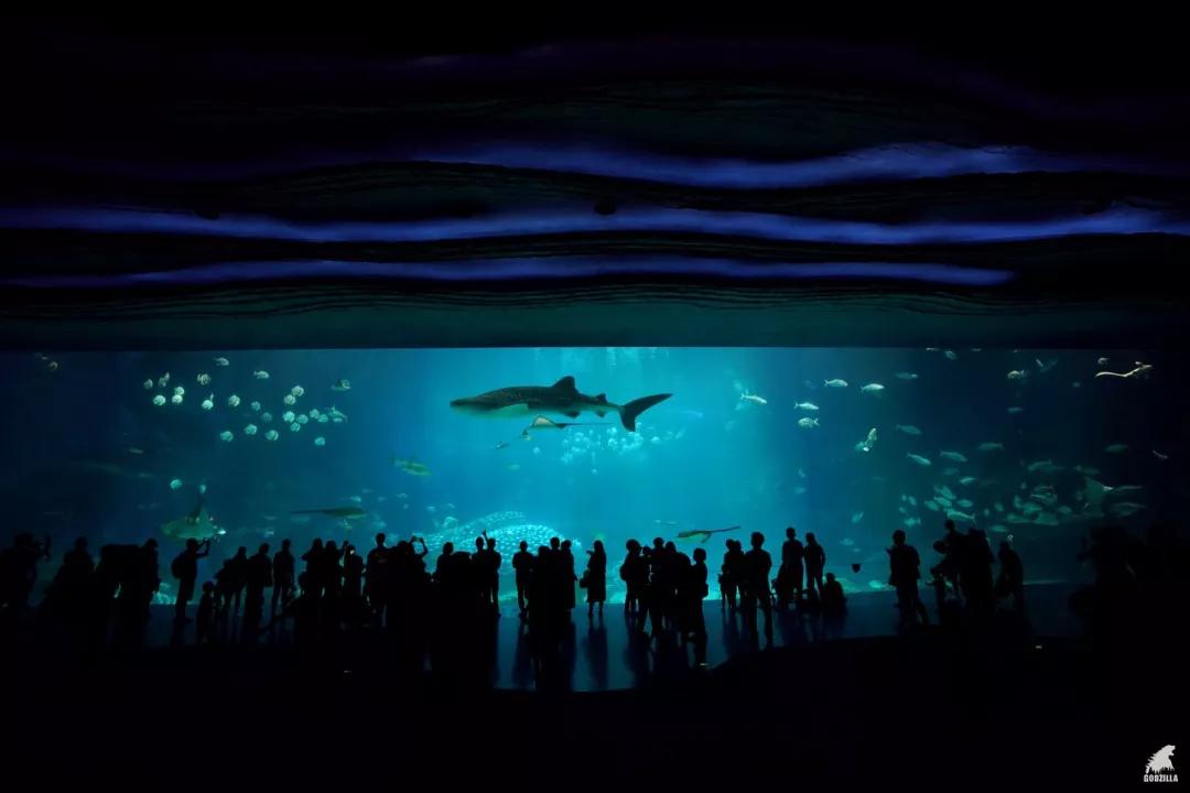 北京冬天亲子旅游攻略,8个国内亲子游旅行地推荐