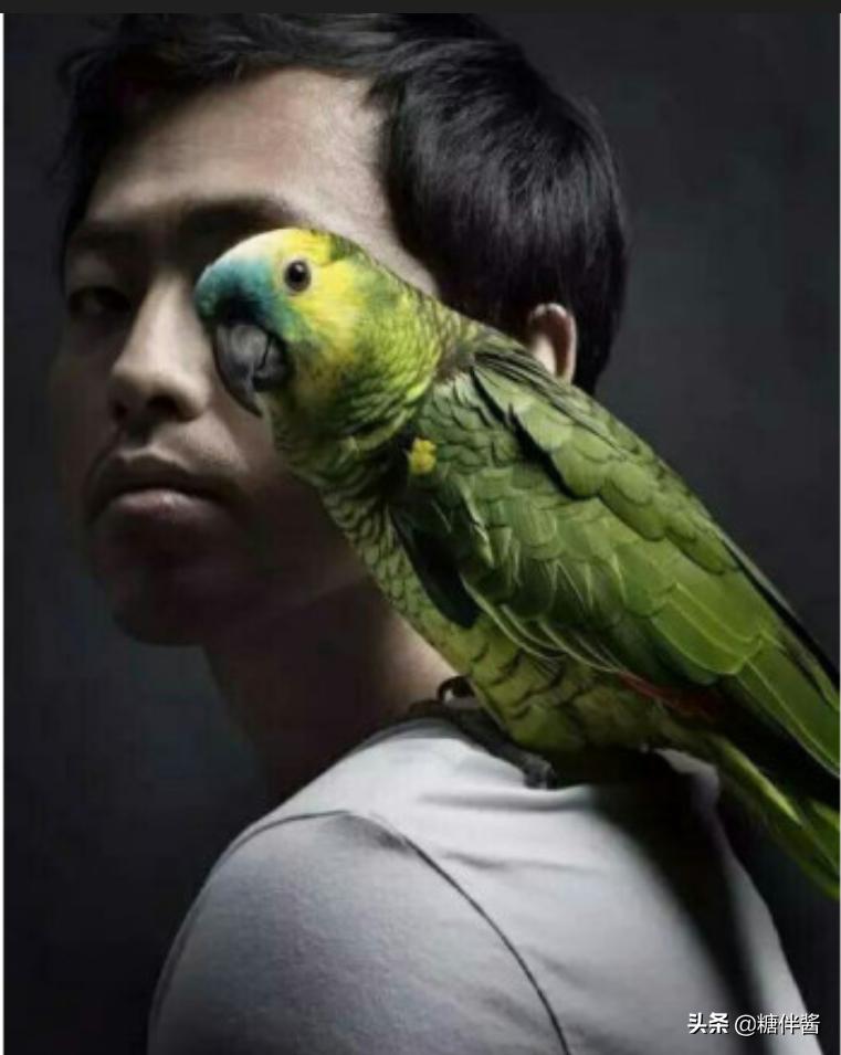 水哥为什么不继续上最强大脑,当年最强大脑的水哥现在如何了