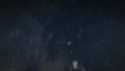 夜半*拍偷**下,成就今年第一部神级纪录片:黑暗下的生命,超乎想象