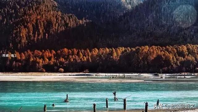 我的遥远的初一二班