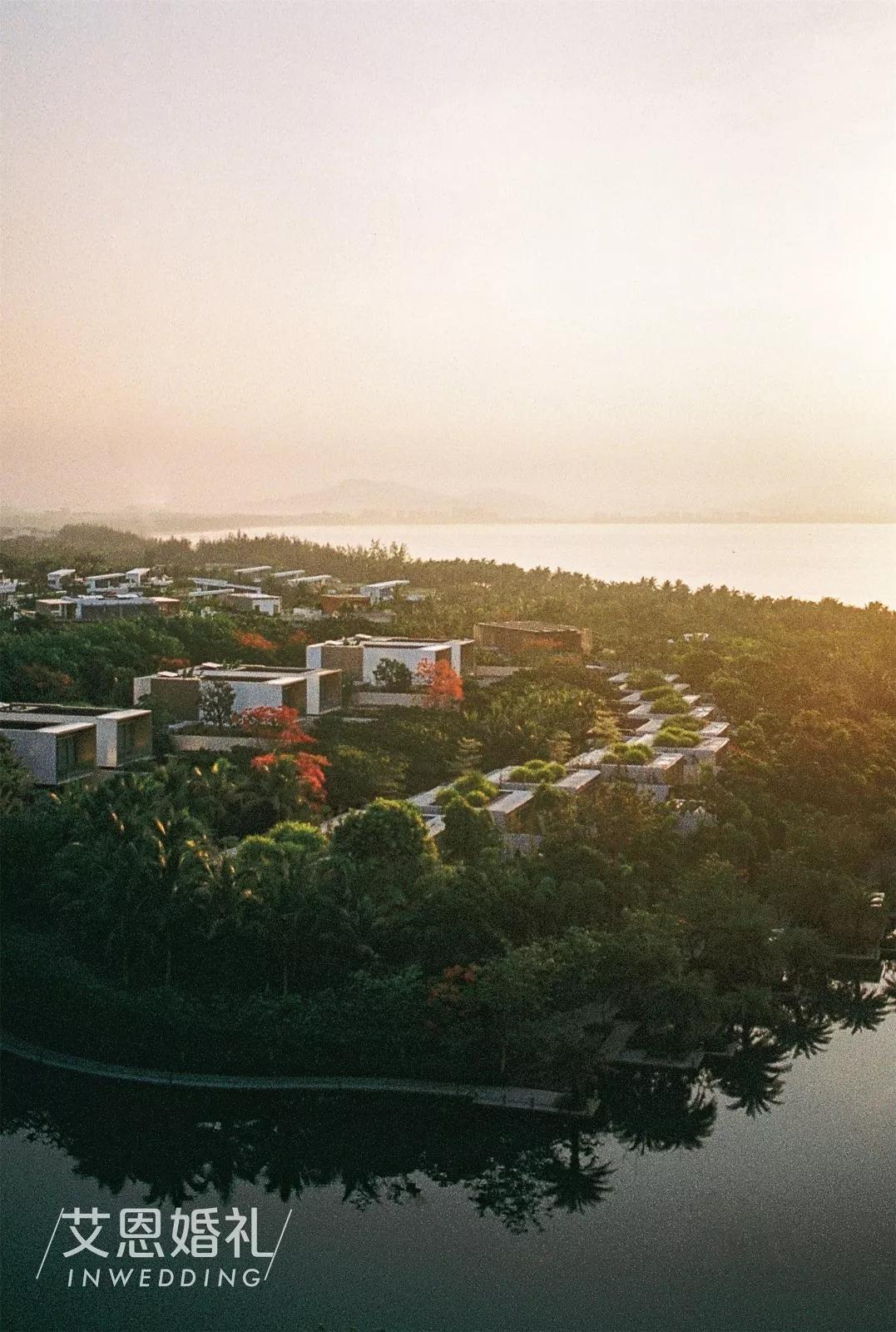 高级英式婚礼视频,法式花园风格婚礼