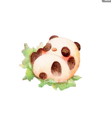 很萌的手绘熊猫,呆萌熊猫插画