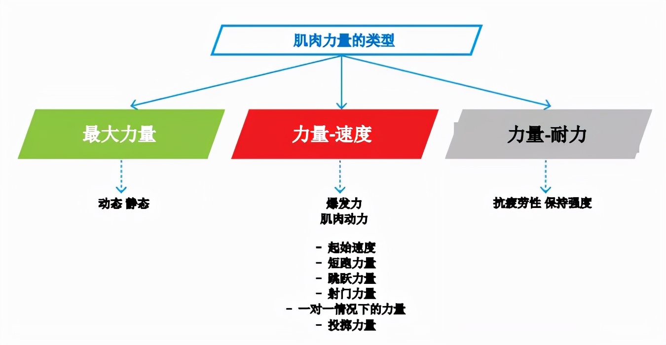 王之者,王之者足球培训班