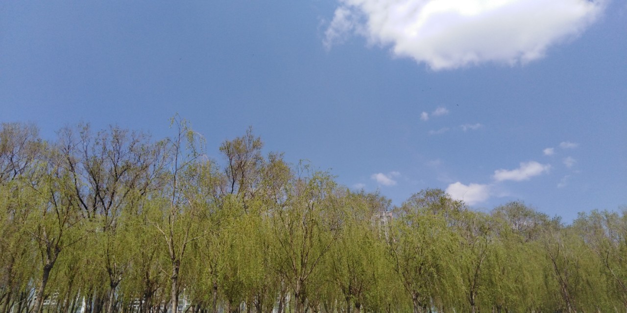 沈阳长白岛森林公园一日游攻略,长白岛森林公园五一