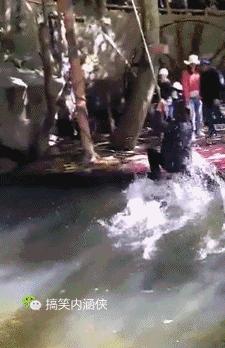 搞笑动图gif女司机,搞笑动图gif图片哪里下载