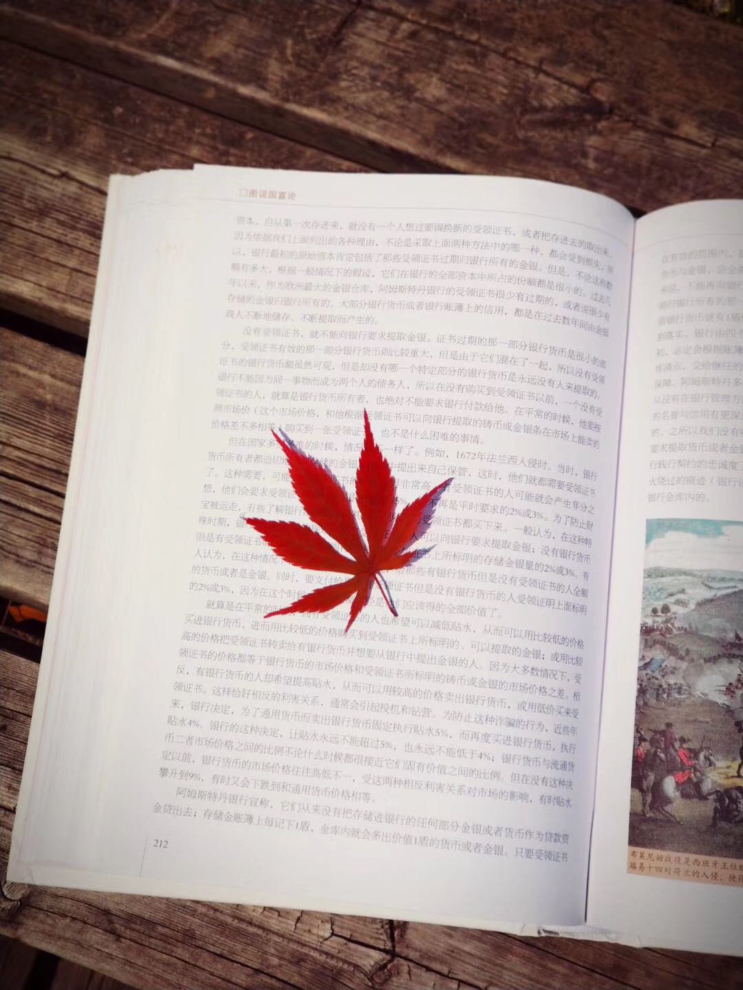 是时候亮出我真正身份了图片,是时候亮出我的身份了素材