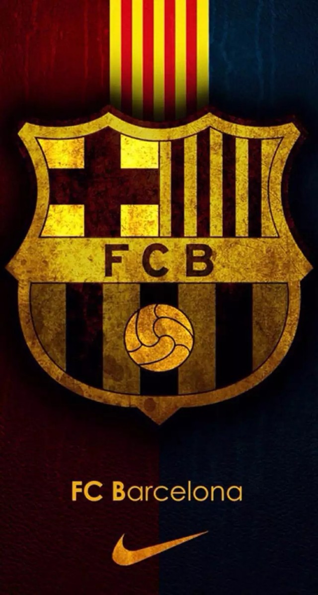 巴萨铁血队队长普约尔,巴萨队徽图片原图