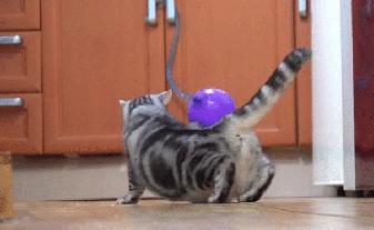 羽绒服沾了污渍,羽绒服油渍清洁免洗