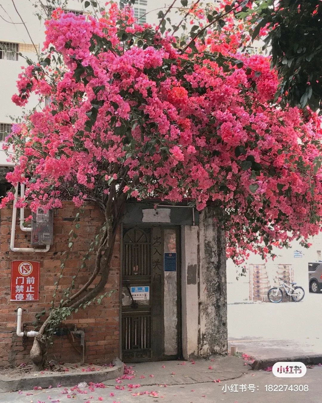 霸屏央视55分钟,霸屏30秒央视