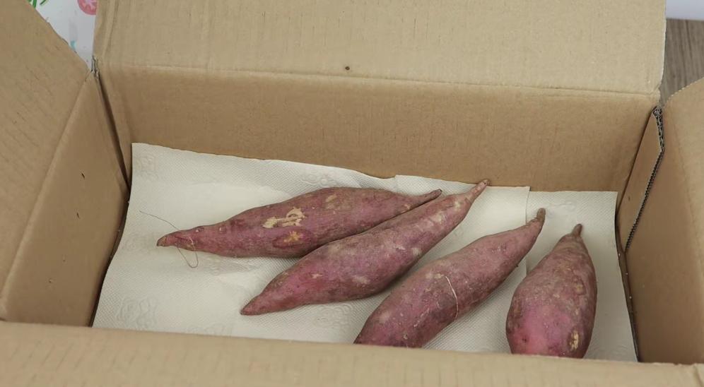 保存大量红薯种的方法,保存红薯正确的方法不发霉不变质