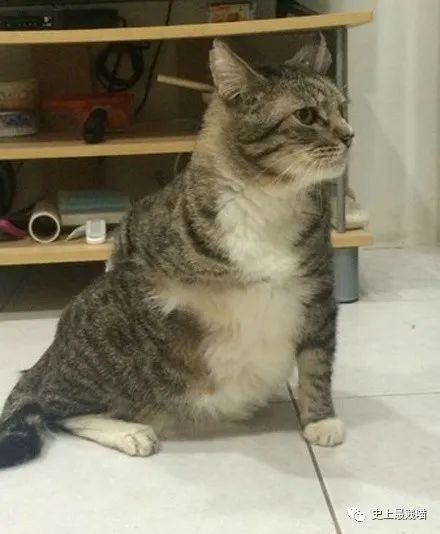 第一次看到把抖m说的这么清新脱俗的...实在太形象了哈哈哈哈哈!