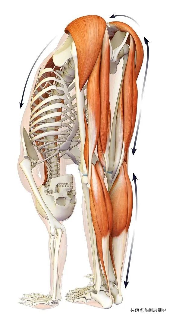 大腿内侧紧瑜伽动作视频,瑜伽大腿内侧紧如何锻炼
