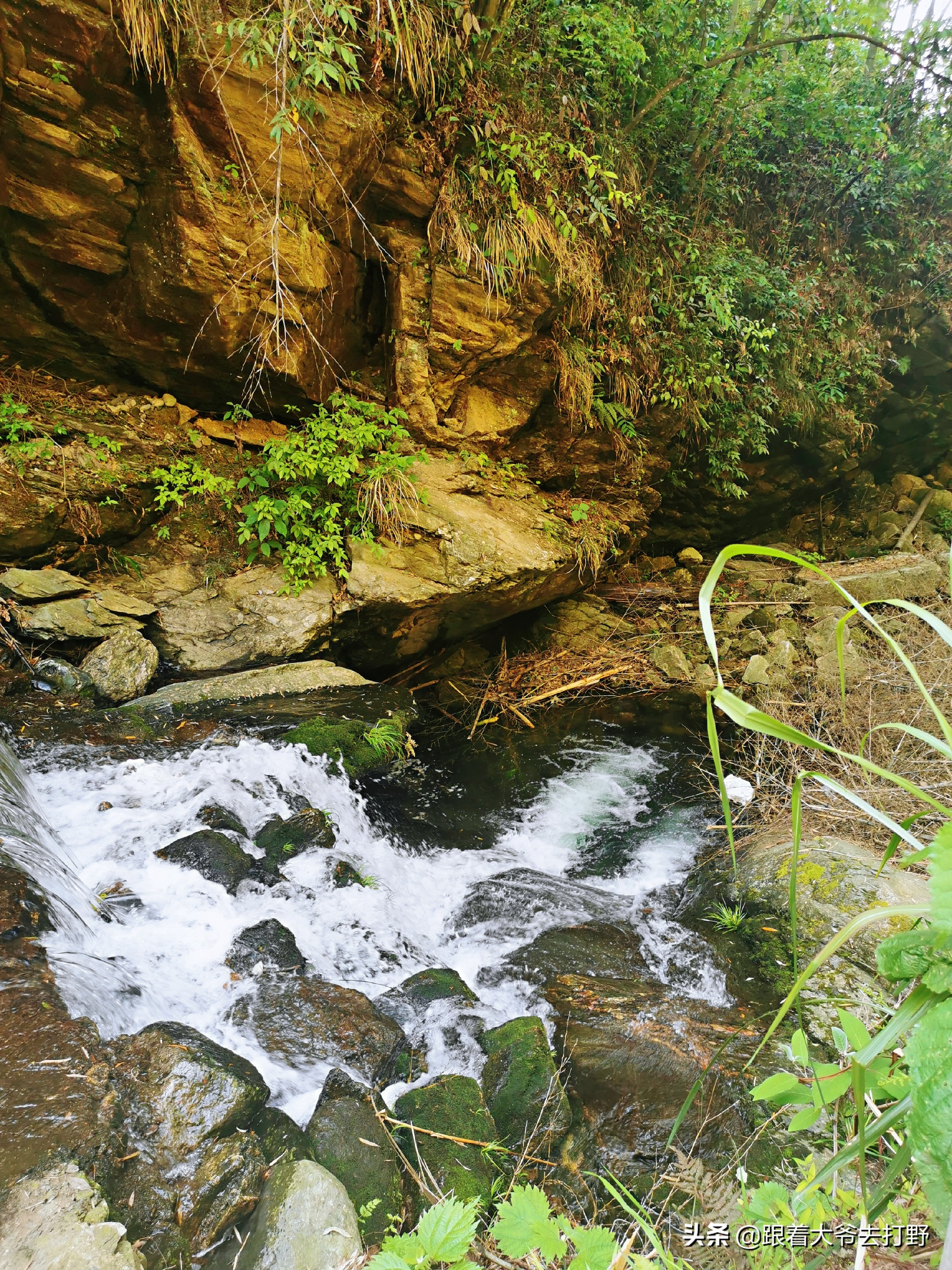 九宫山溯溪怎么去,九宫山附近免费溯溪