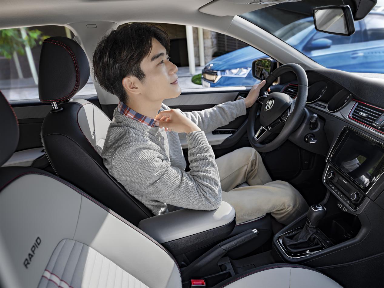 斯柯达斑马智行缺点,斯柯达斑马智行功能