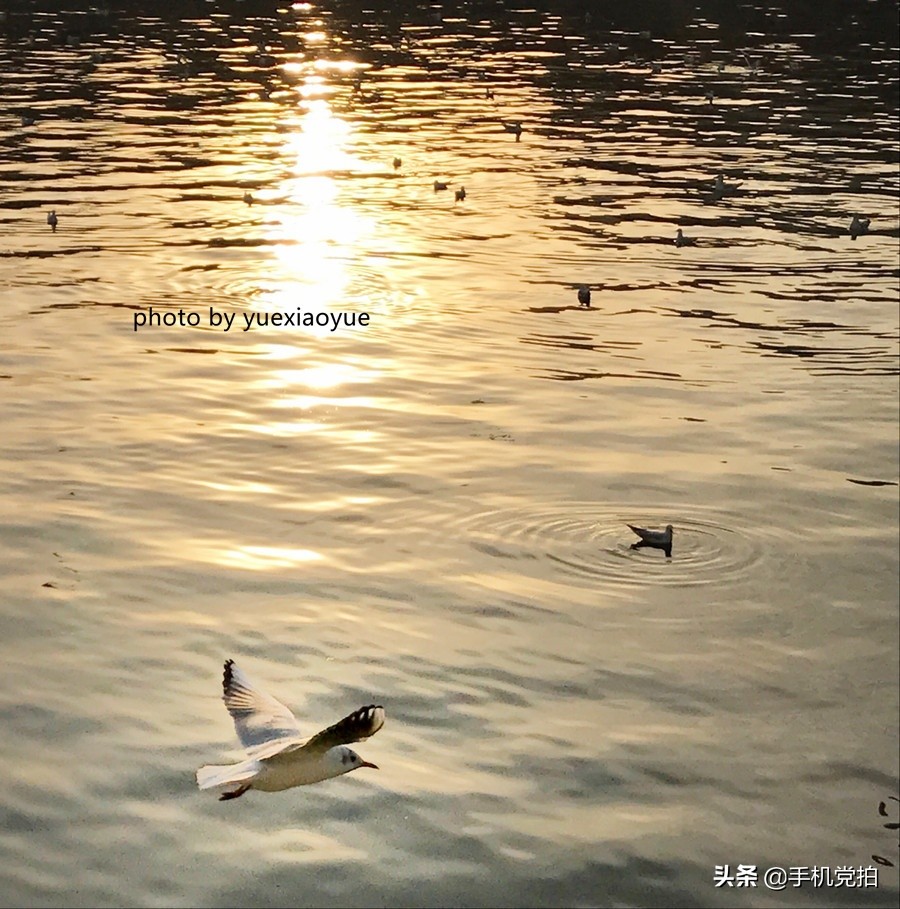 手机拍照逆光解决方法,手机拍照逆光怎么避免过曝