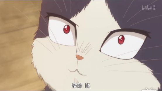 最萌新番,豆瓣8.8最佳纪录片女主