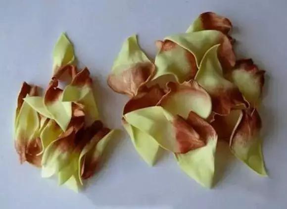 海绵纸手工制作花朵幼儿园,海绵纸创意手工幼儿园动物