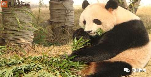 淮海经济区十大景点,五一游玩徐州攻略大全集