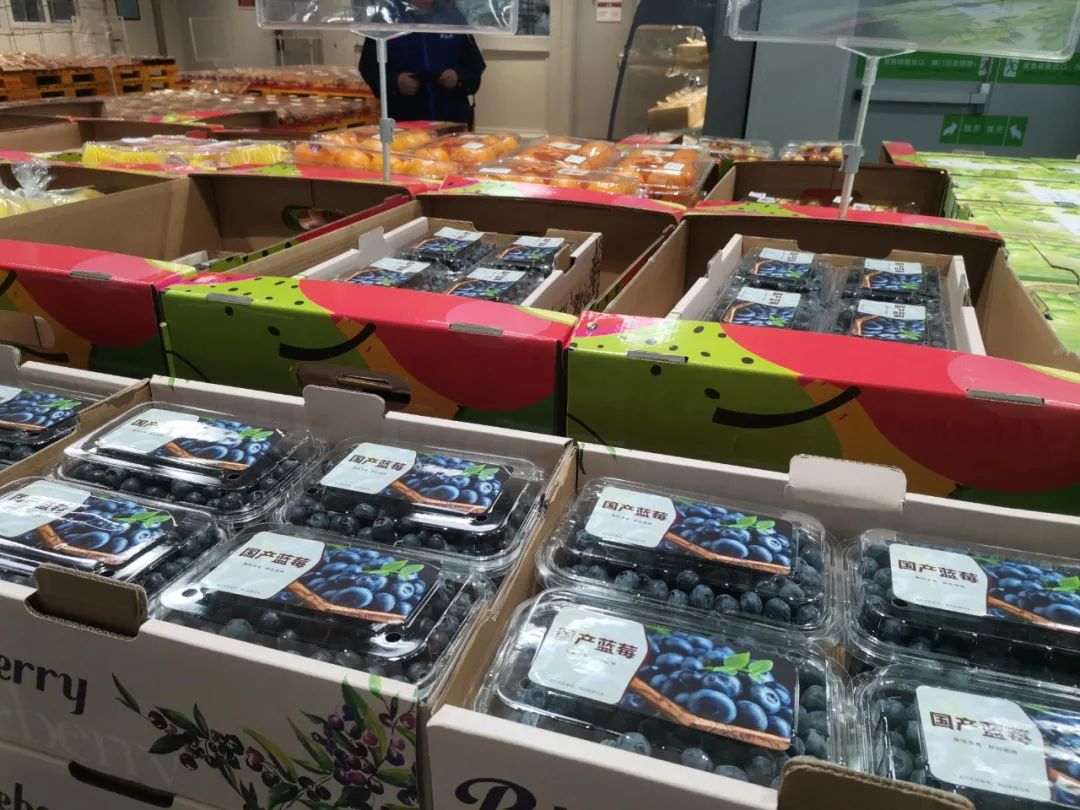 不靠会员费，另辟蹊径的麦德龙PLUS从哪挣钱？