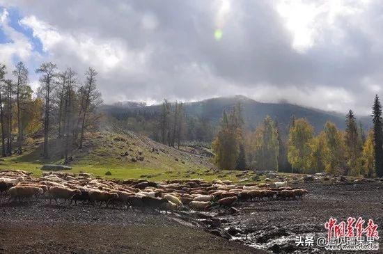 大美新疆欢迎你们,大美新疆欢迎你下一句