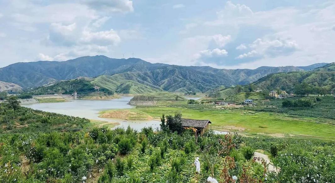 好吃不吐籽的突尼斯软籽石榴来了,被誉为可以吃的雅诗兰黛软籽石榴