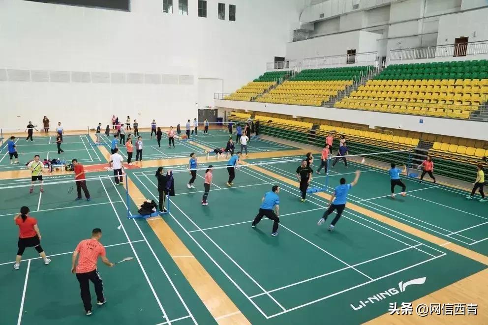 体操王子李宁走进天津西青——西青区全民健身运动会倒计时100天暨天津西青李宁运动中心开园活动举行