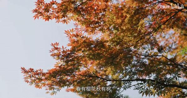 1.68亿豪宅,10亿一套的顶级中式豪宅