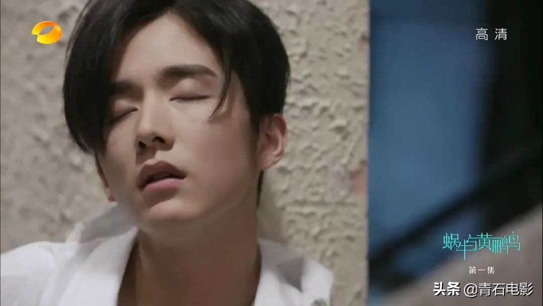 交响情人梦第一季日剧全集,交响情人梦电视剧全集完整版