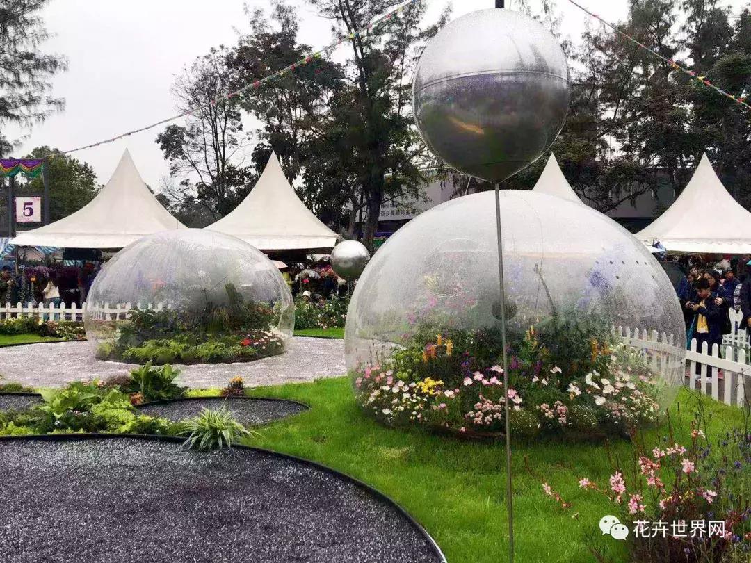 香港花卉艺术展,共赴盛会活动