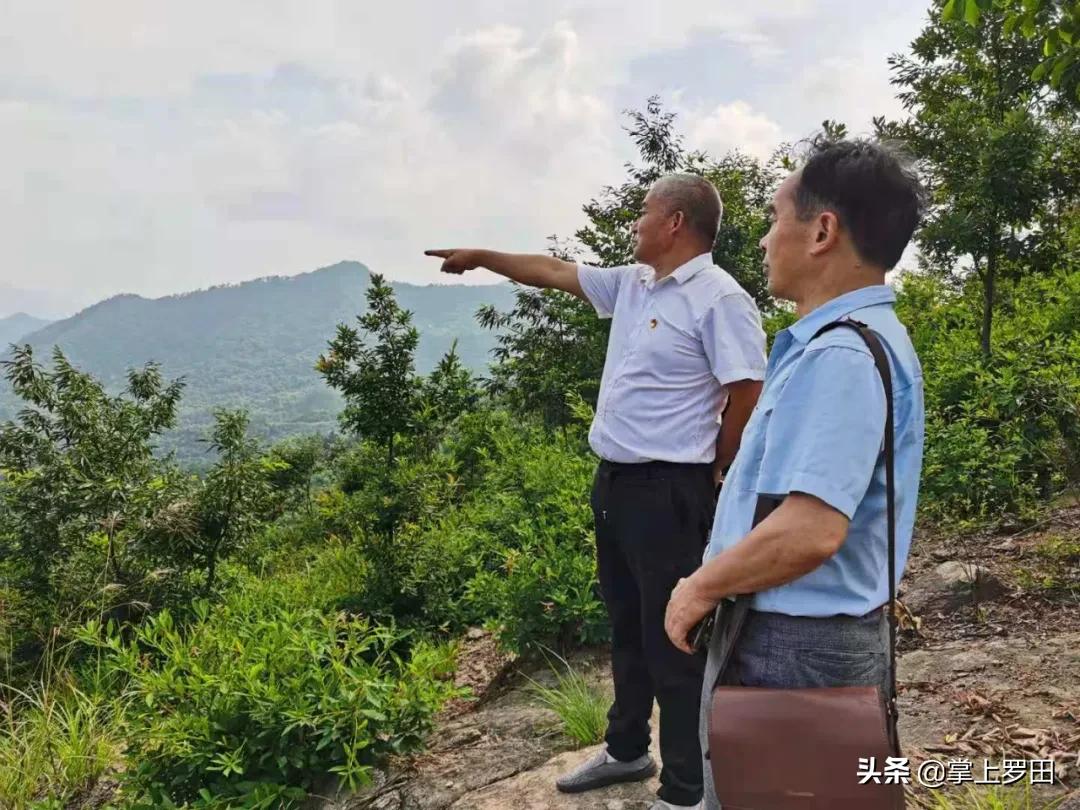 梦里是江南水乡，没曾想，却恋上罗田这个村