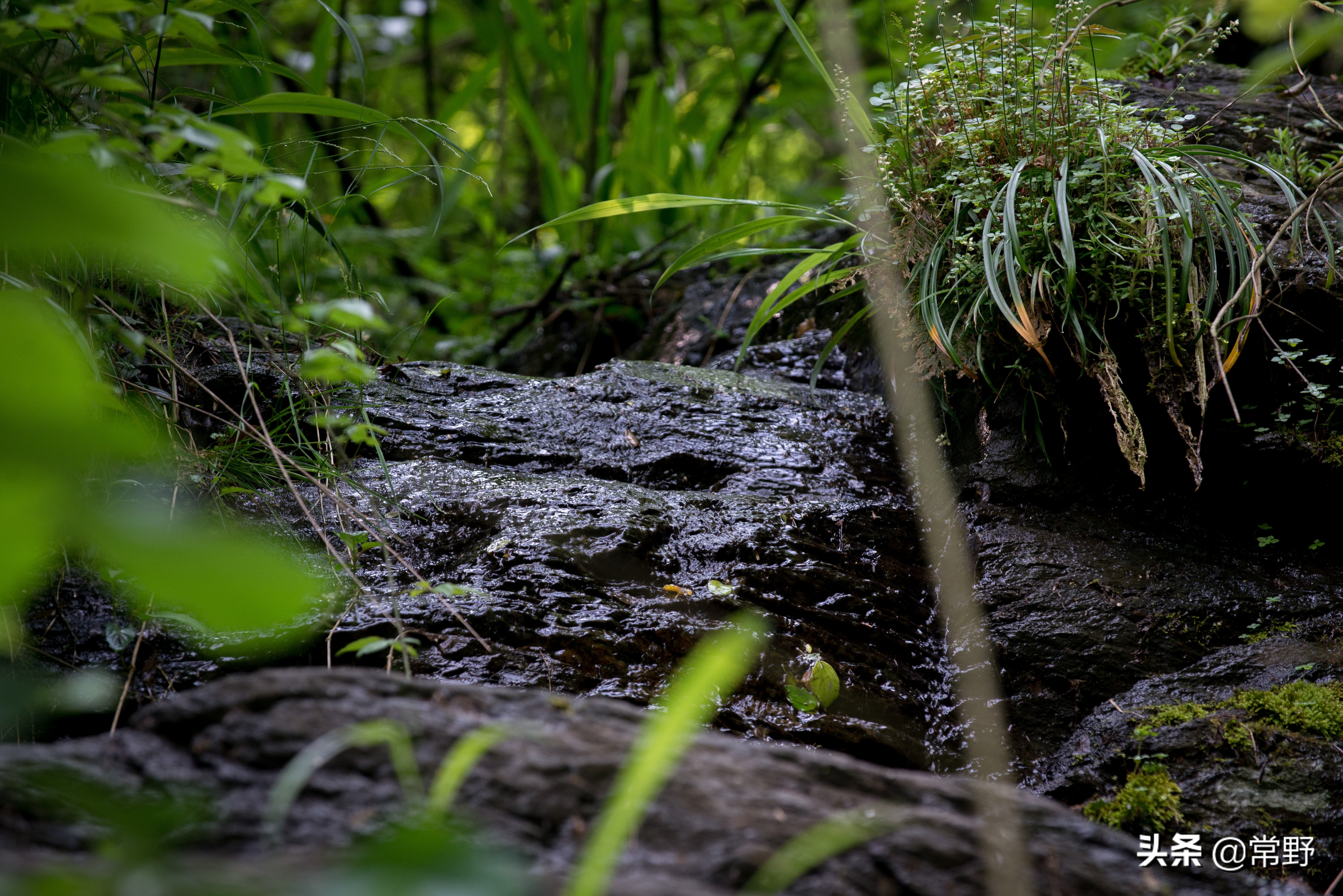 长沙谷山为什么叫谷山,长沙郊野公园