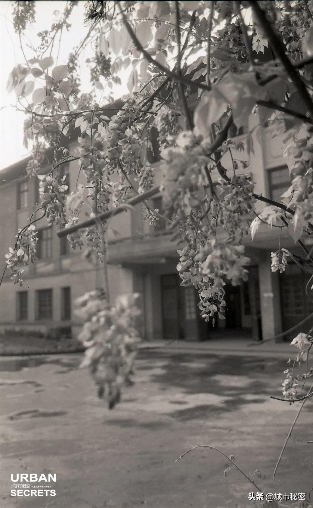 杭州文教区如果不写杭师大，那和一条失去梦想的咸鱼有啥区别