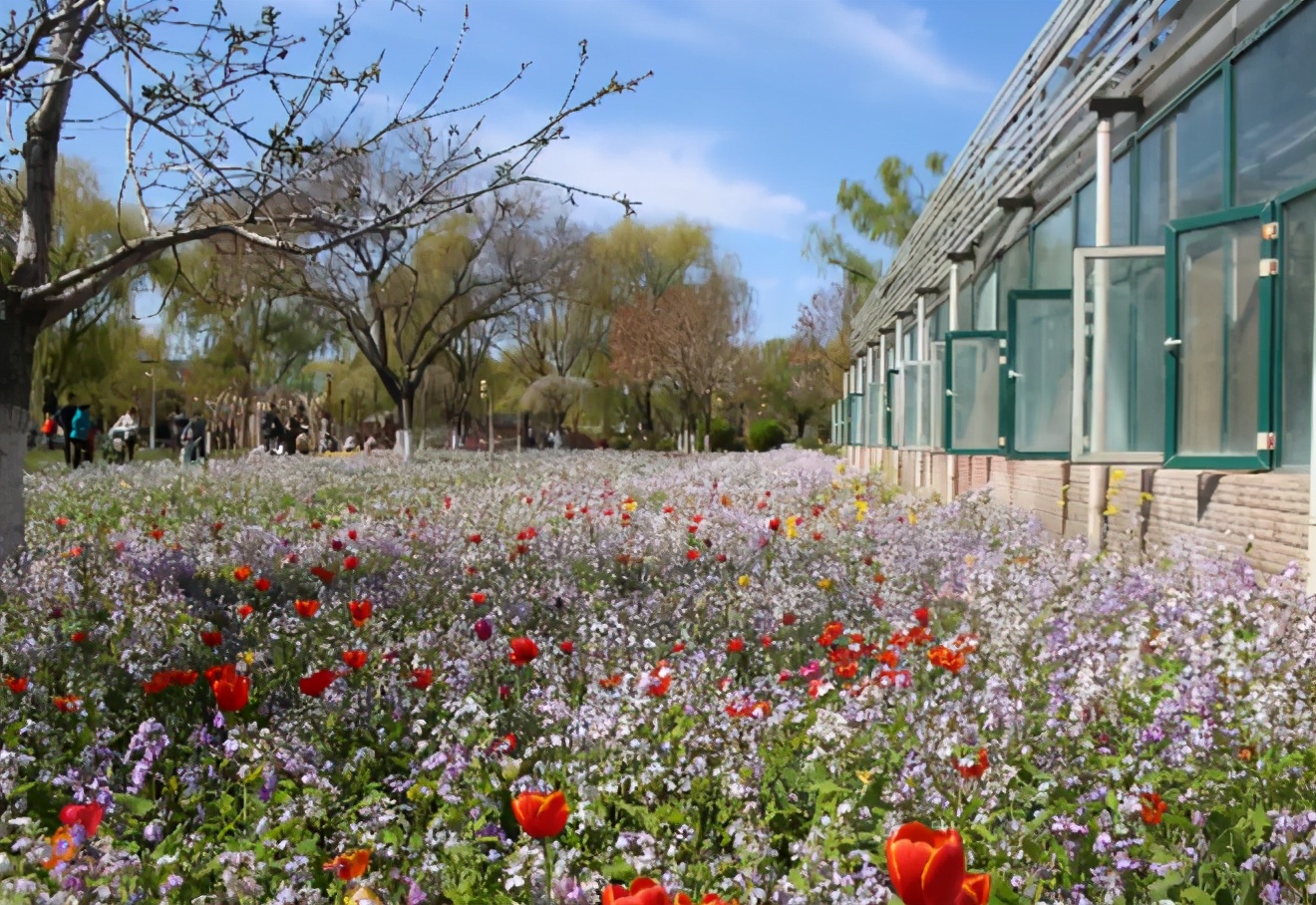 香雪海包含哪些景点,香雪海一日游