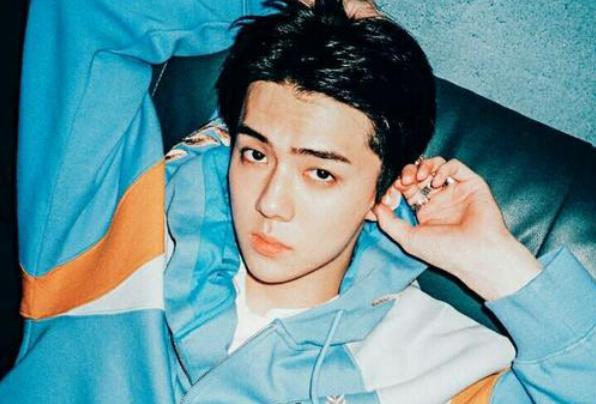 exo你不知道的事舞台歌曲,exo五巡演唱会为什么只有6个人