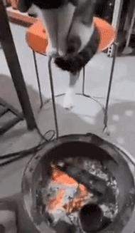 搞笑gif这才是真正的口若悬河,搞笑gif趣图这大概就是爱情吧