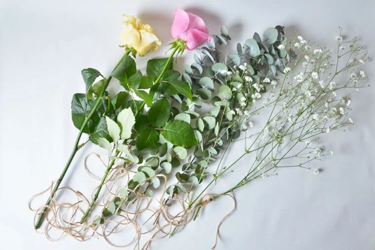 制作干花最好的季节,自制干花什么方法比较好