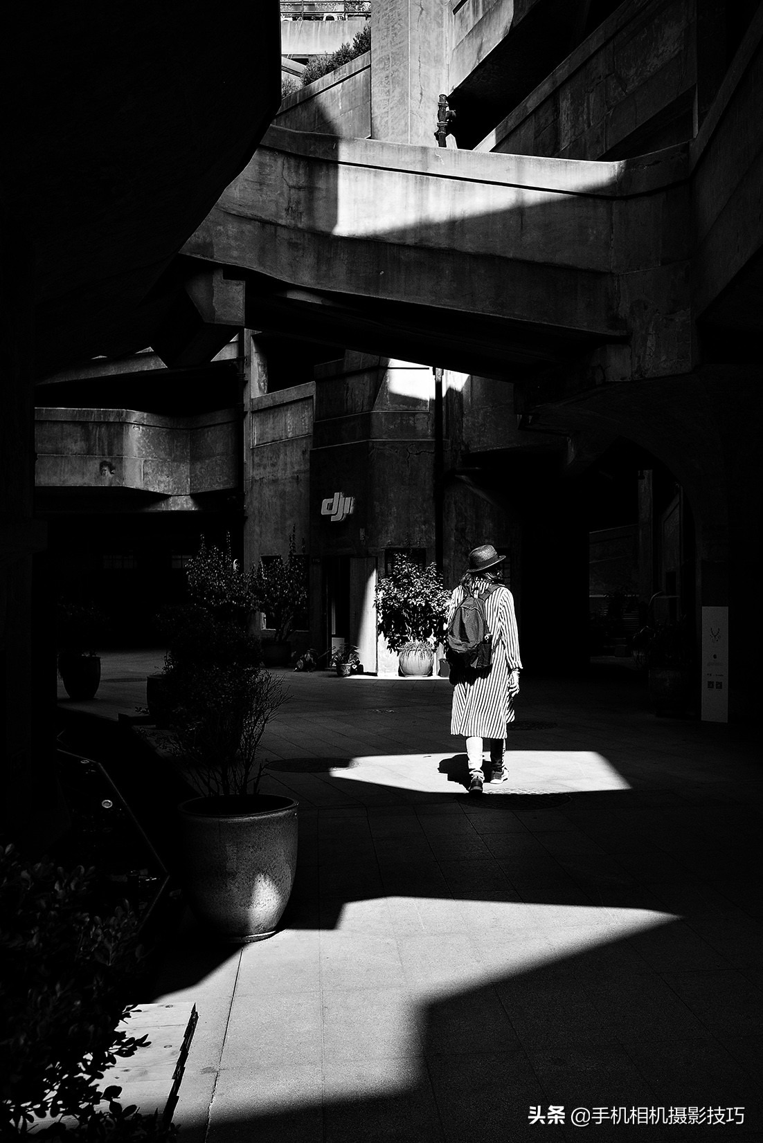 喜欢摄影的人眼里随处都是美景,爱摄影的人诗句