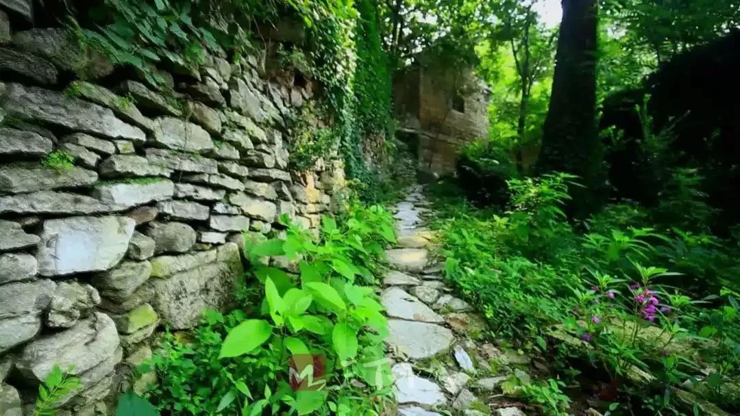 人少景美的山东小众旅行地,只要胆子大就能放长假